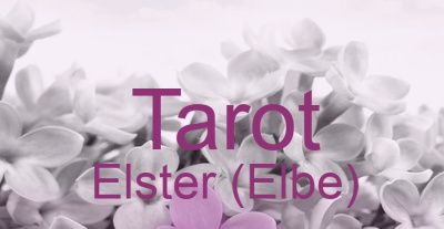 Tarot Elster (Elbe) | Top-Experten für Kartenlegen, Wahrsagen, Hellsehen, Zukunftsdeutung.